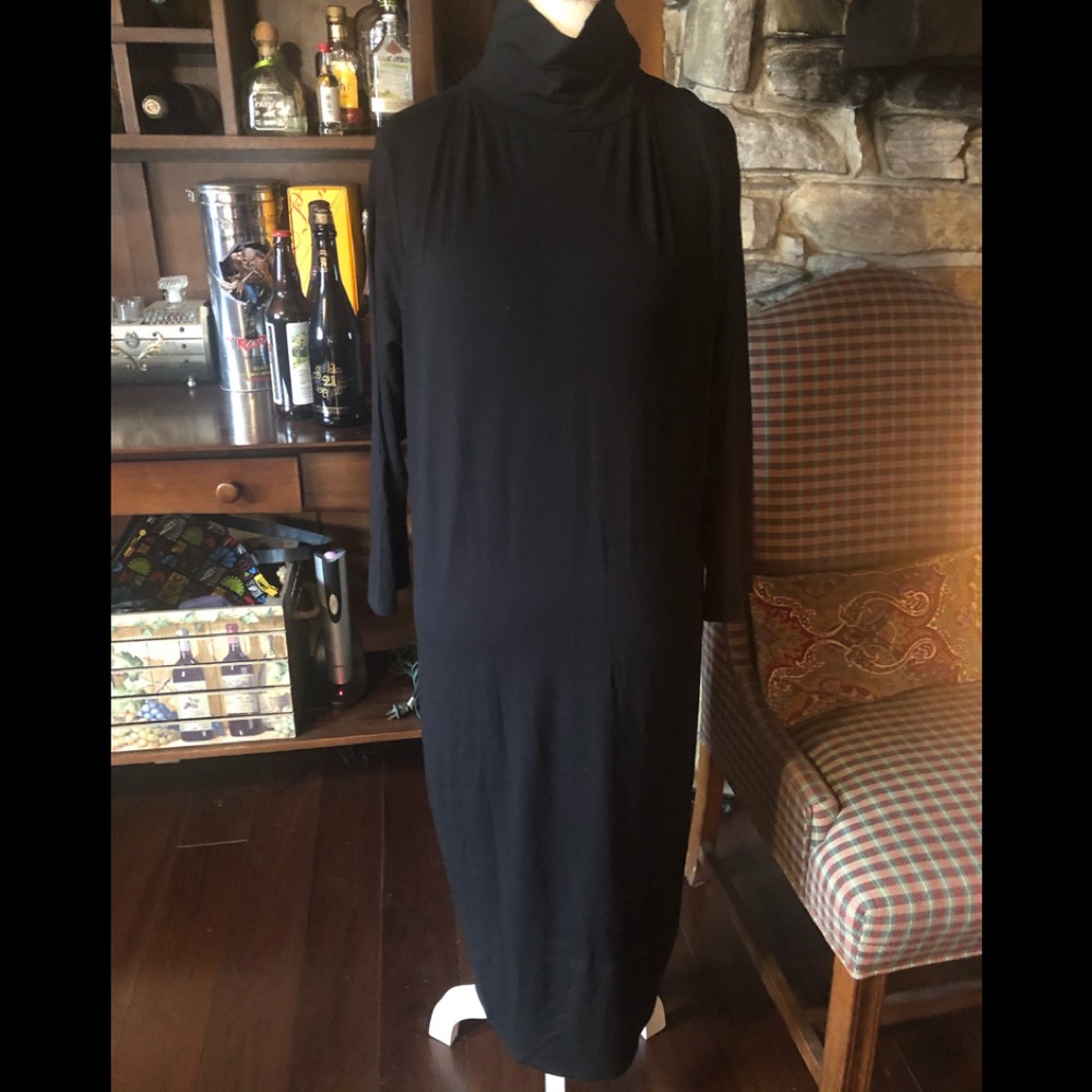 NEW w/out tags black turtleneck dress.